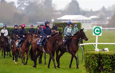 Cheltenham Tips: JP McManus Festival Treble.